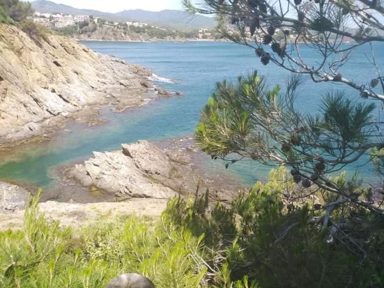 滨海托萨Sant Jordi Santiago公寓 外观 照片